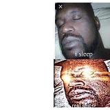 Real Shit meme template