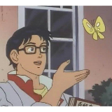 is this butterfly meme template