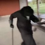Plague Doctor Gangsta's Paradise GIF Template meme template